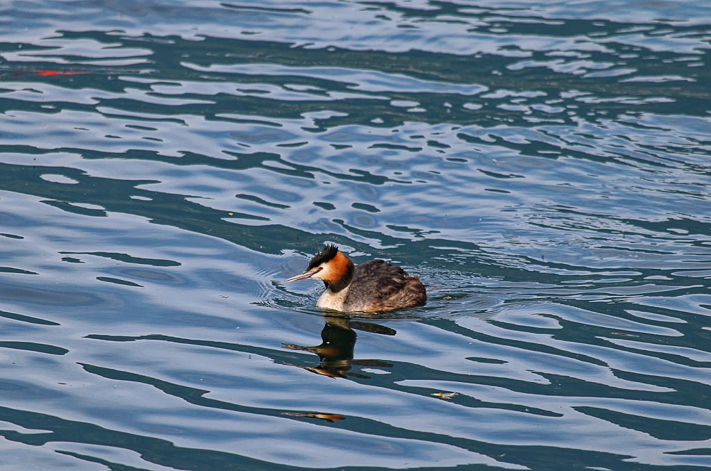 Val-Grande-0022-DxO.jpg