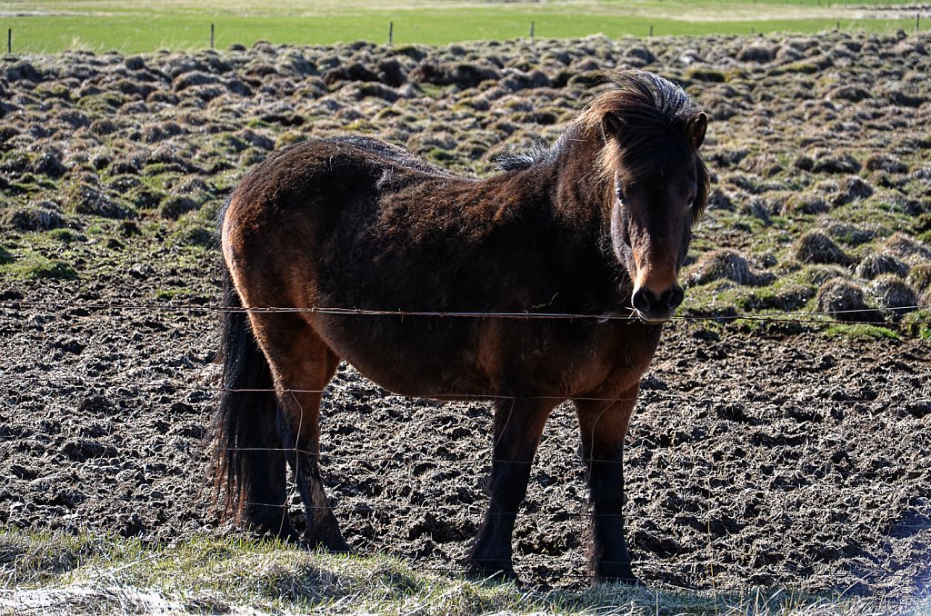 Irland-2012-014-DxO.jpg