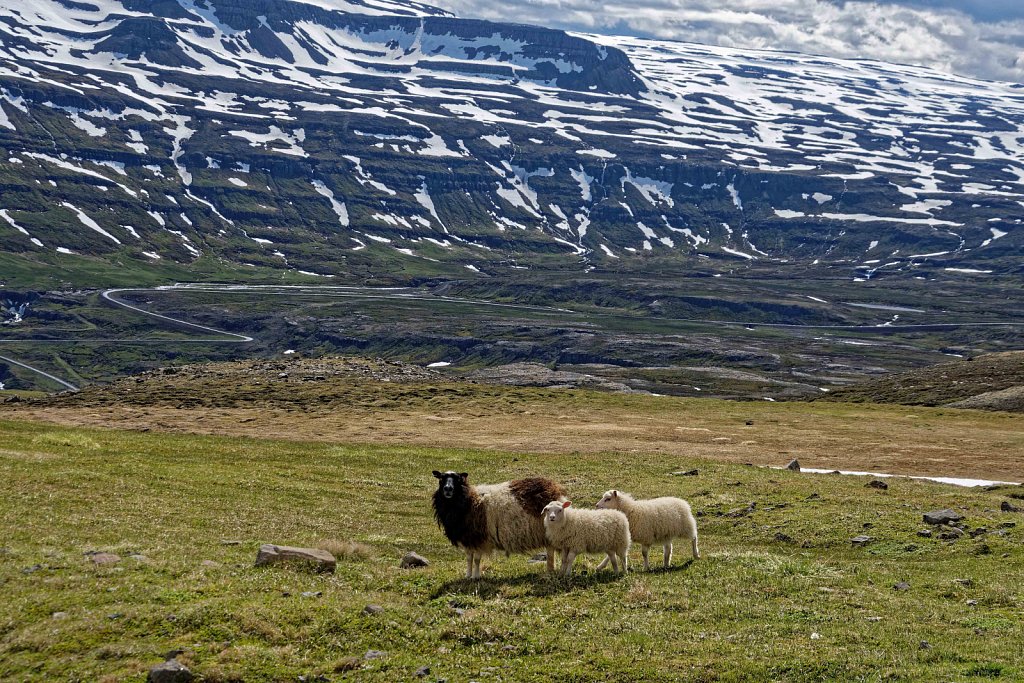 Seyðisfjörður