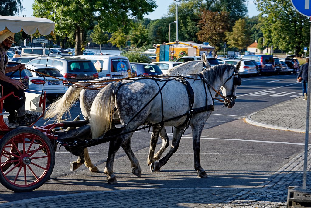 HIS-3103-DxO.jpg