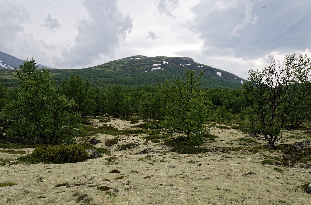 Dovrefjell