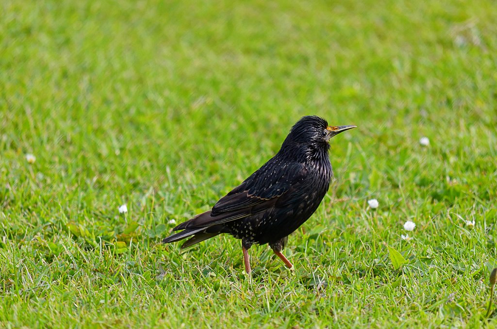 Irland-Auswahl-050-DxO.jpg