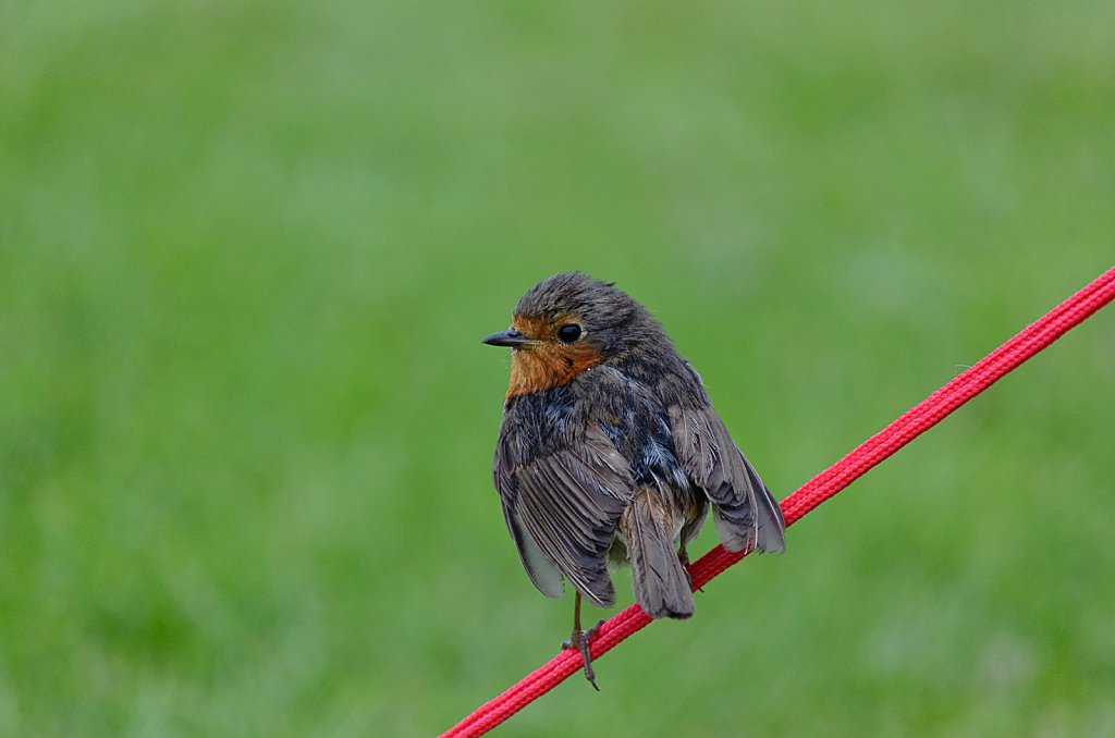 Irland-Auswahl-068-DxO.jpg