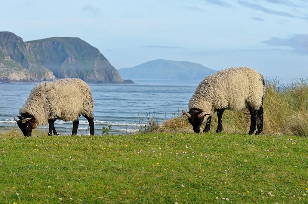 Irland-Auswahl-100-DxO.jpg