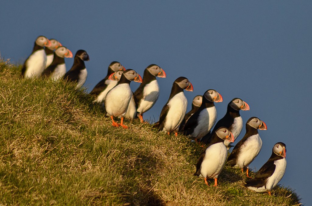 Irland-2012-699-DxO.jpg