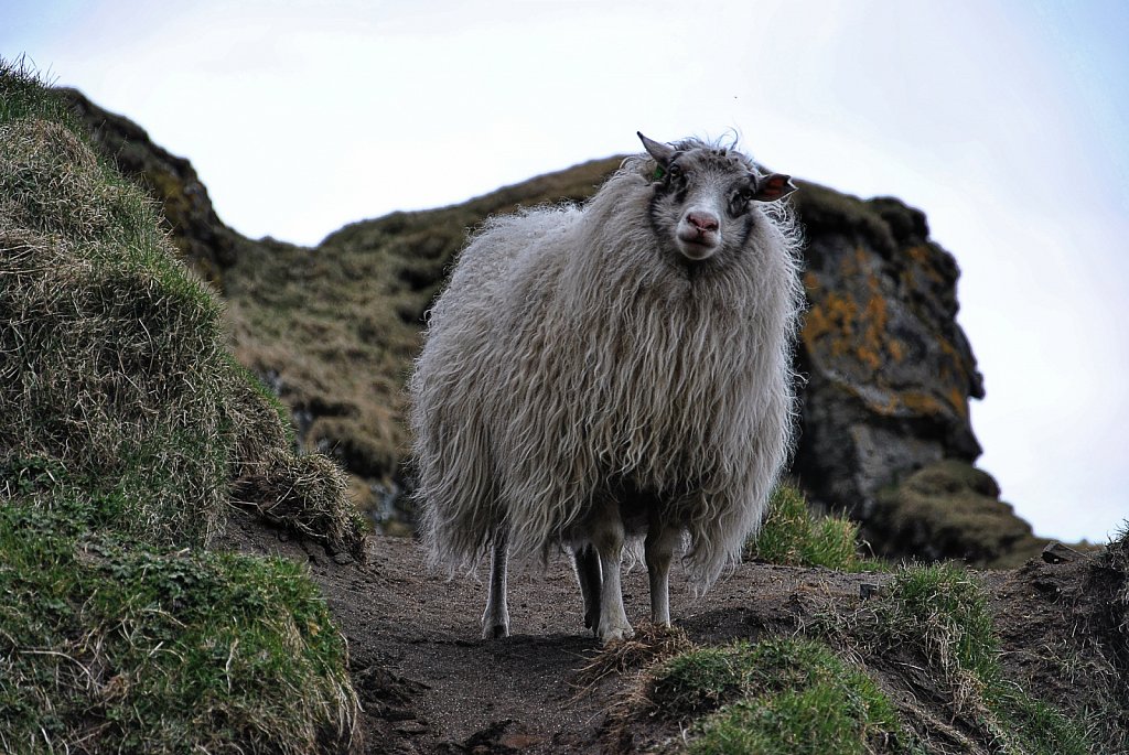 Irland-2012-822-DxO.jpg